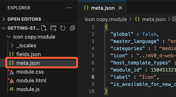 module-meta-json-file-open